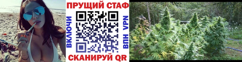 Купить закладку APVP  Кокаин  Псилоцибиновые грибы  Канабис  МЕФ  Оренбург