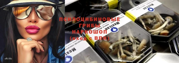 крисы Дмитров
