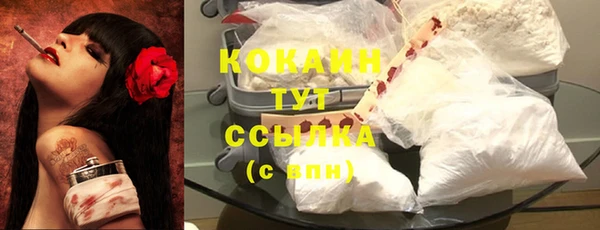 крисы Дмитров