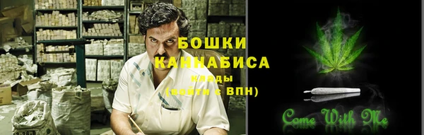 крисы Дмитров