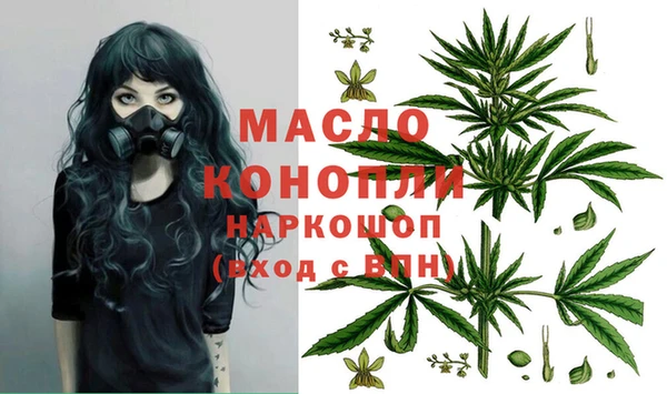 крисы Дмитров