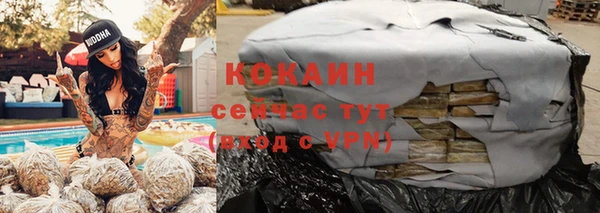 крисы Дмитров