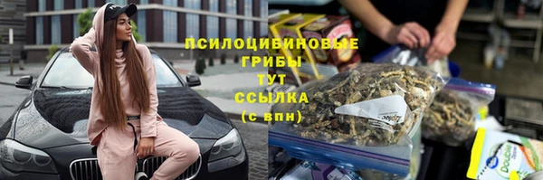 Альфа ПВП Дмитровск